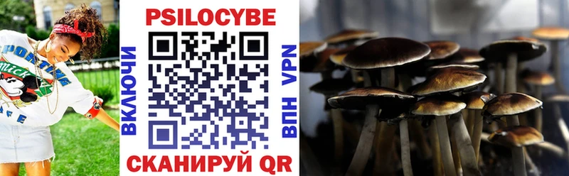 Галлюциногенные грибы Psilocybine cubensis  Трёхгорный 